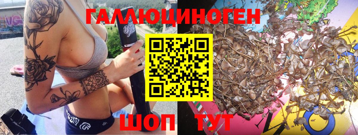 Псилоцибиновые грибы MAGIC MUSHROOMS  Псилоцибиновые грибы мухоморы  Надым  Вход с VPN 