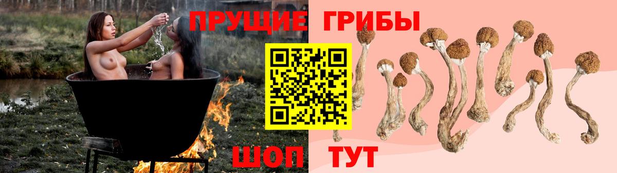 Псилоцибиновые грибы Cubensis Надым
