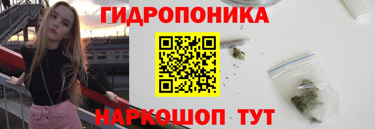 Конопля сатива  Вход с VPN  МАРИХУАНА SATIVA & INDICA  Бошки марихуана марихуана  Марихуана конопля  Надым 
